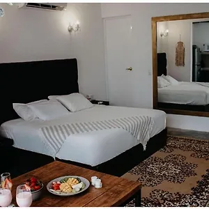 https://elixir-homes-tulum.quintano-roohotels.com