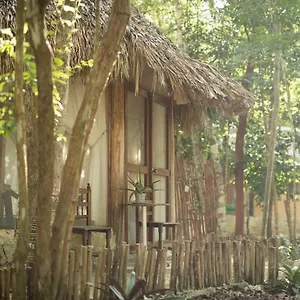 Meli-melo P&b , Tulum Pueblo Mexico
